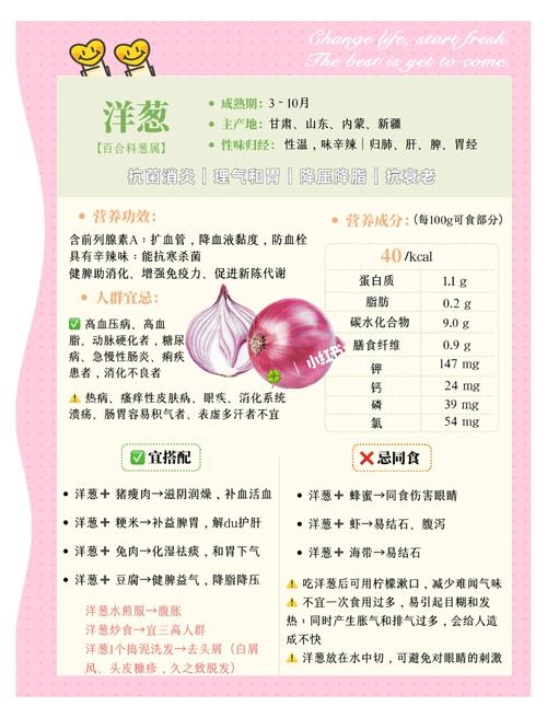 洋葱有哪些保健功效？它对心脏健康有哪些益处？