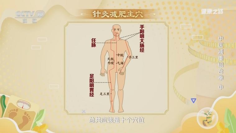 针灸减肥穴位有哪些，能精准击溃脂肪因子吗？