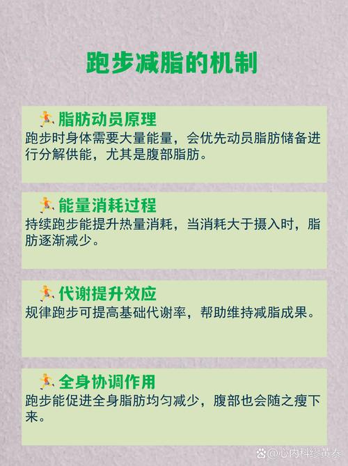 慢跑真的比其他运动更有效减掉腹部赘肉吗？