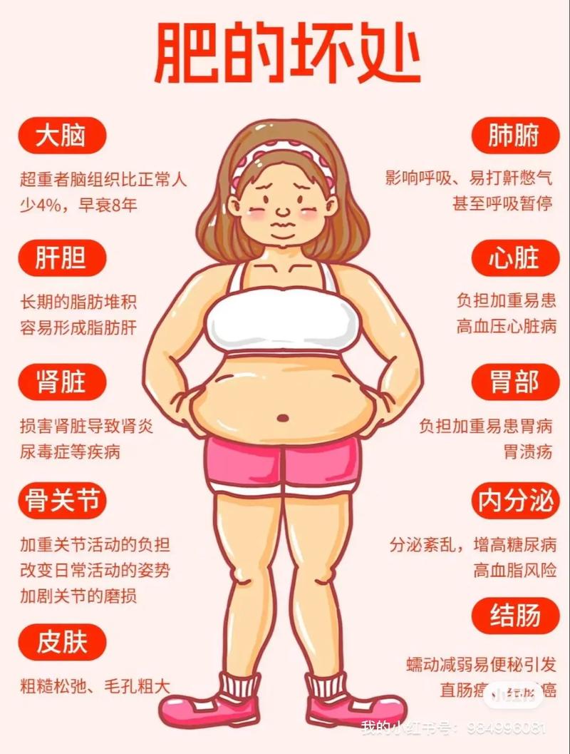 为什么冬天人体容易积累脂肪，导致发胖现象增多？