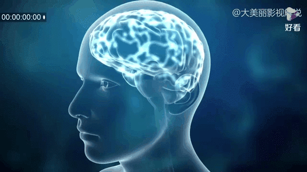 大脑控制胖瘦，这真的可信吗？