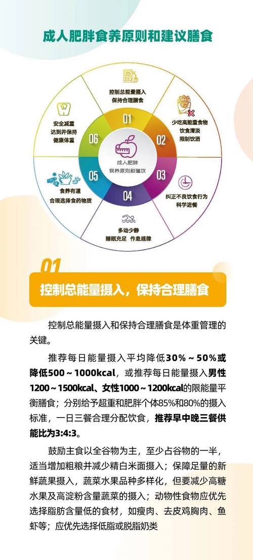 如何遵循这些进食法则，才能有效远离肥胖困扰？