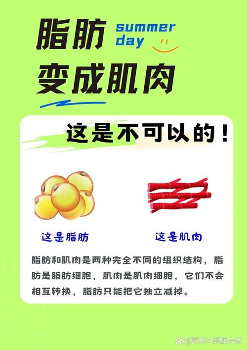 减肥过程中脂肪会转化成肌肉吗？