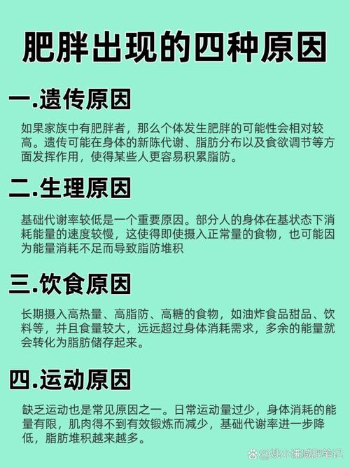 肥胖的主要原因有哪些？是遗传、饮食、运动还是心理因素？