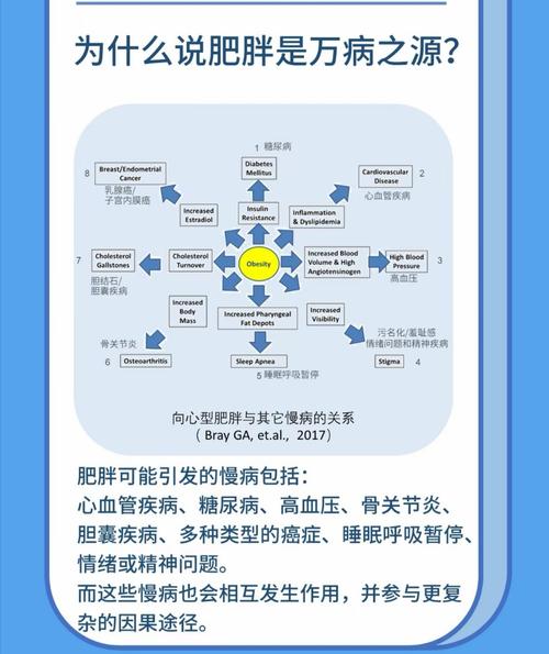 肥胖的根源DNA究竟是什么？专家能否揭示致胖之谜？