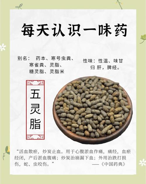 中药减肥效果最好的是哪一种？