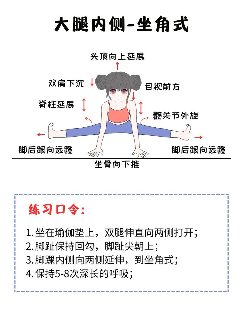 有哪些拉伸运动是公认的12种最佳选择呢？