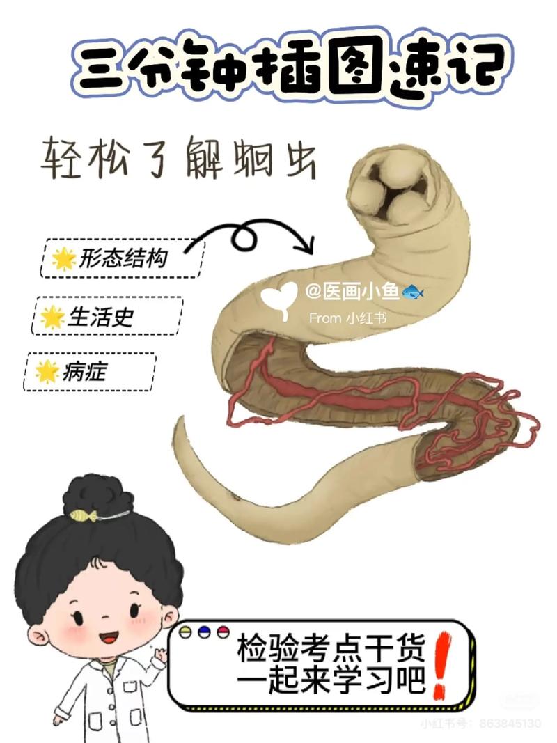 蛔虫卵真的能通过摄入帮助人体减肥吗？