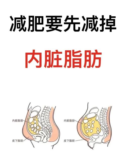 脂肪在人体内究竟扮演着怎样的关键角色？