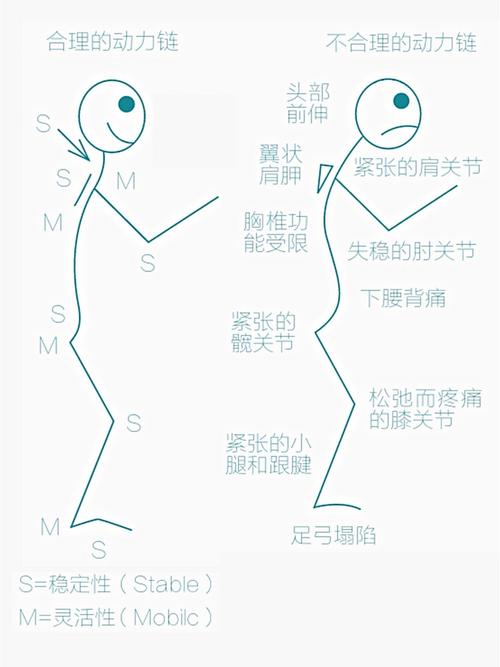 我在这运动金字塔的哪一层呢？