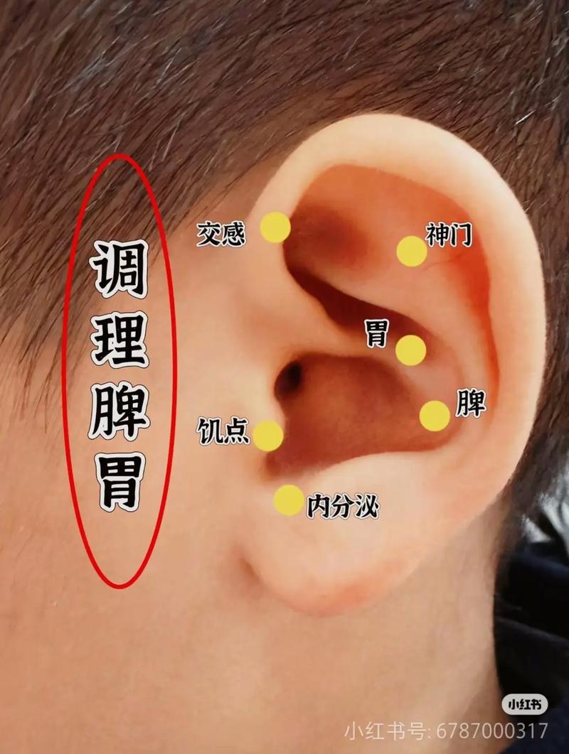 如何通过耳穴按摩实现每月减重8斤的效果？