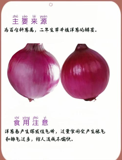 洋葱几乎不含脂肪，减肥期间是不是可以适量多吃呢？