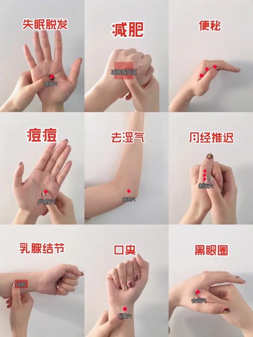 如何通过按摩和食疗双管齐下轻松瘦出精致巴掌脸呢？