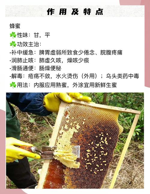 秋天蜂蜜减肥法3天嫩减5斤吗？