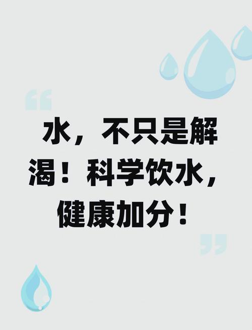 如何科学有效地饮用这些健康水以最大化其益处？