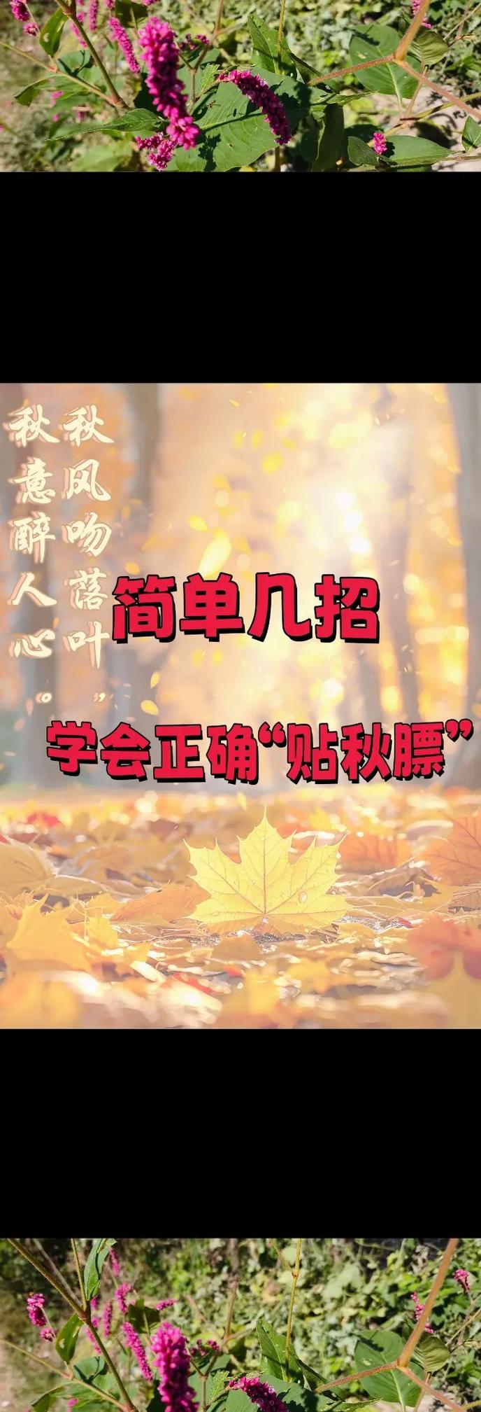 秋季如何学会这几招，才能有效拒绝秋膘缠身呢？
