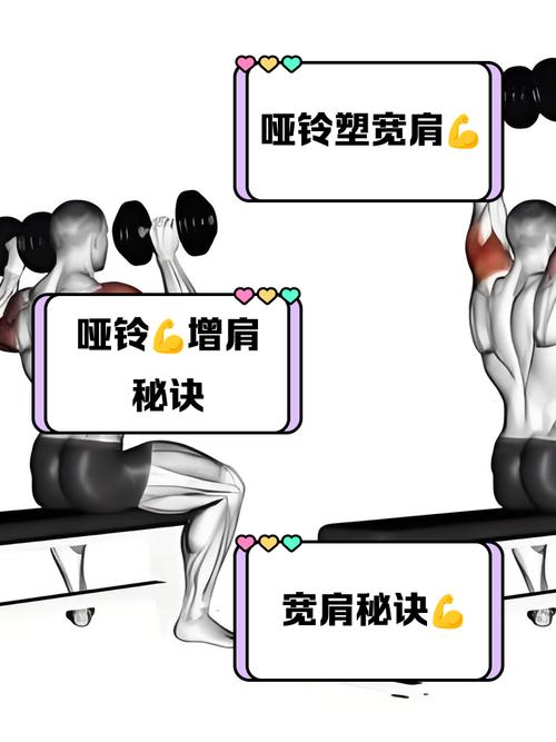 如何才嫩获得健康宽阔和有形的肩膀呢？