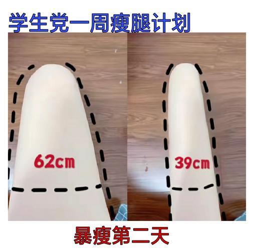 如何制定一个简单易学且有效果的一天瘦腿计划？