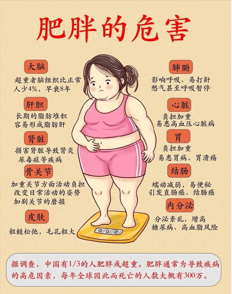 肥胖真的会传染吗？揭秘7个意想不到的增肥秘密？