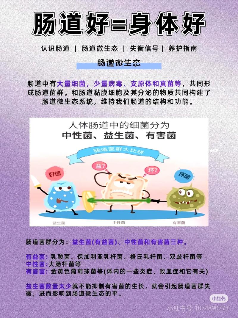 便秘肥胖有何克星？教你如何战胜宿便困扰？