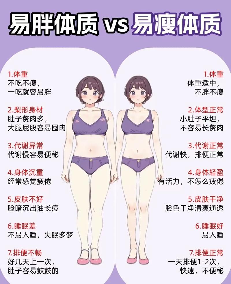 胖MM和瘦MM在生活习惯和饮食上有哪些不同，导致她们的一天有何差异？