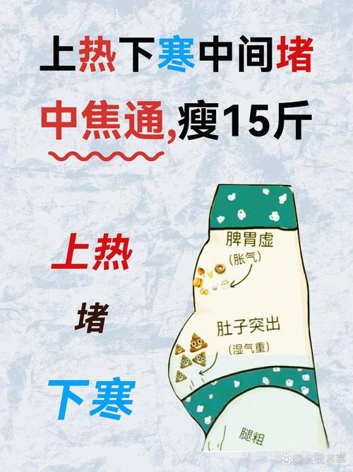 肥胖是否与体内湿气、痰湿以及体质虚弱存在关联呢？
