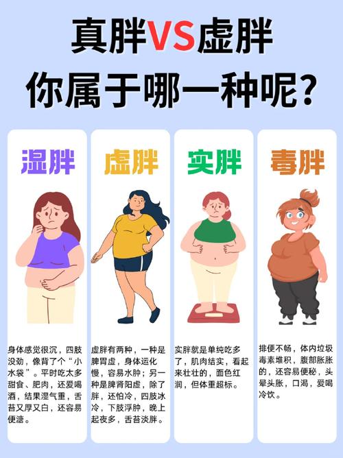 为什么肥胖现象在男性与女性之间存在显著差异？