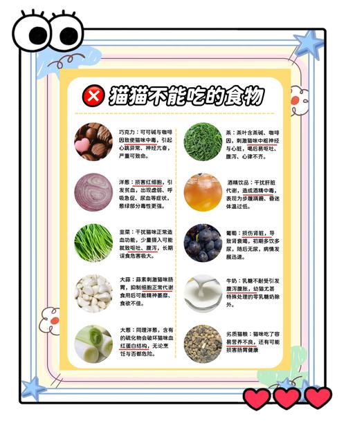 如何运用七种方法帮助猫咪改善饮食习惯，控制食欲？