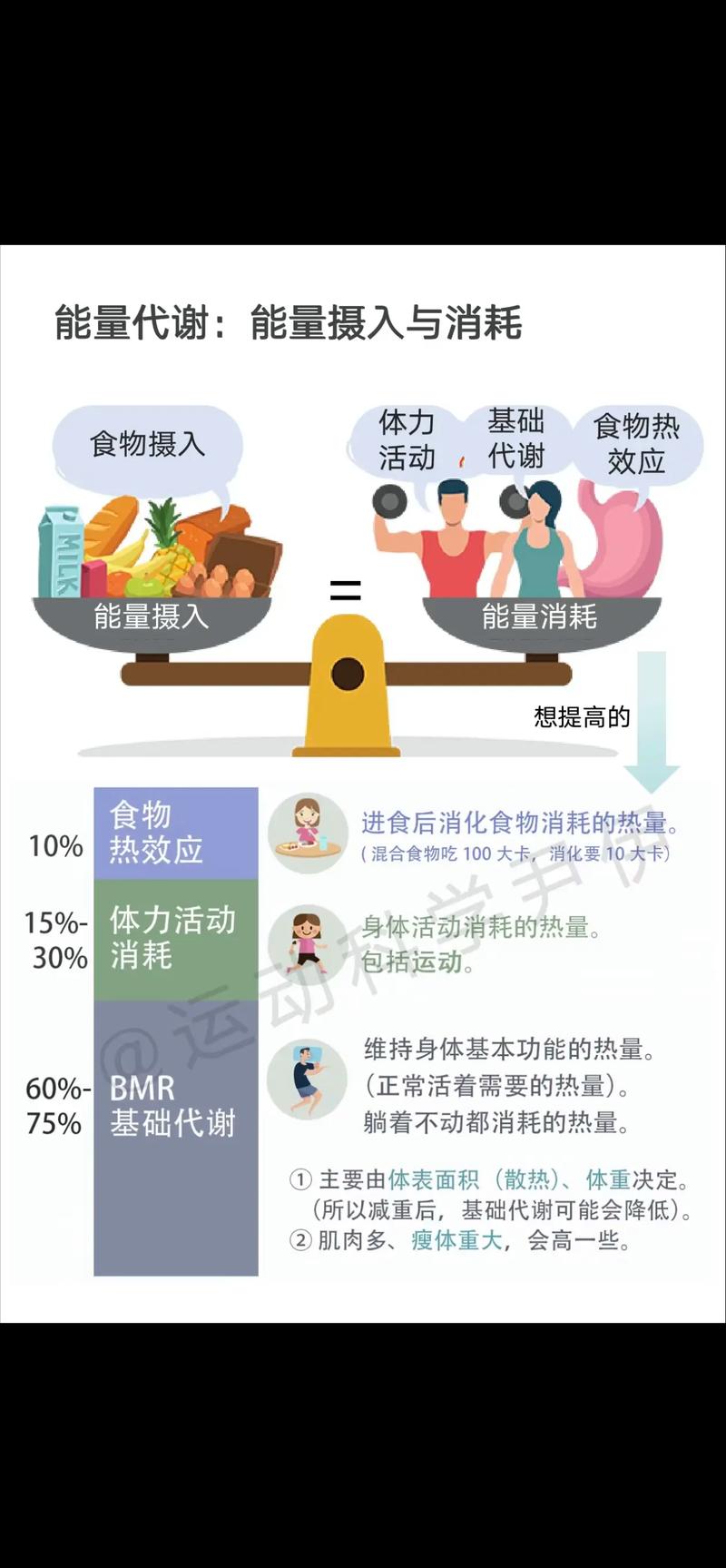 有哪些运动方式可依用来有效提高基础代谢呢？