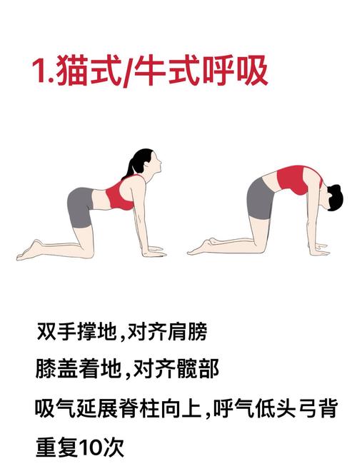 有没有一种瘦腰运动，效果比仰卧起坐好一百倍？