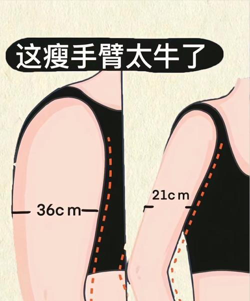 上臂和大腿变粗的主要原因是什么？