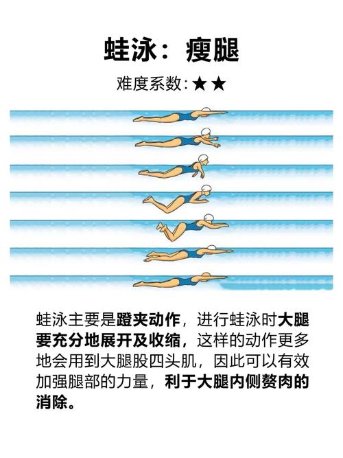 游泳真的有如此惊人的减肥效果吗？