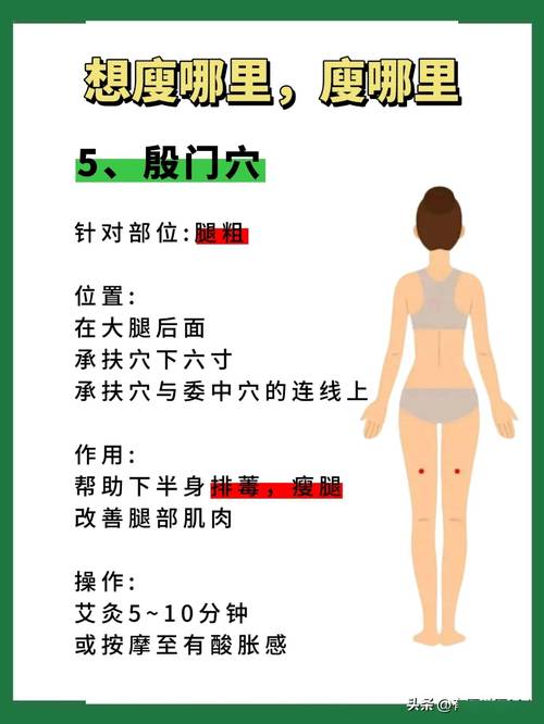 针灸减肥穴位有哪些，能精准击溃脂肪因子吗？