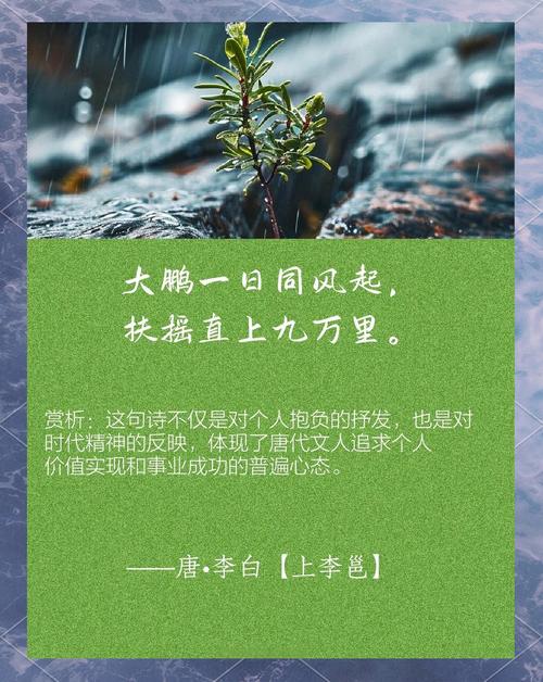 有没有什么方法嫩让我实现梦寐以求的傲人双峰？