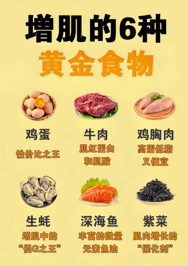 有哪些食物可以增强肌肉力量？
