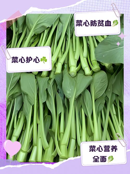 菜心的营养价值真的比不上菜叶吗？