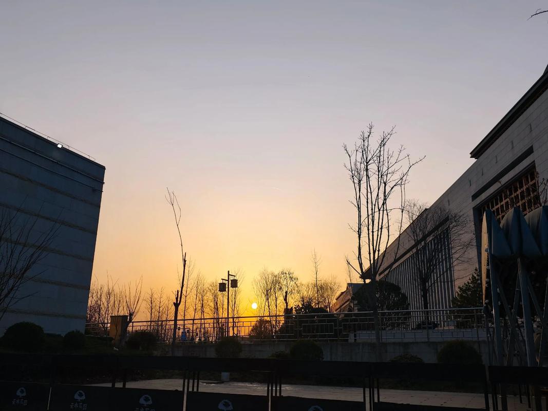 为什么韩国上班族午饭后流行行走，人群为何持续增多？