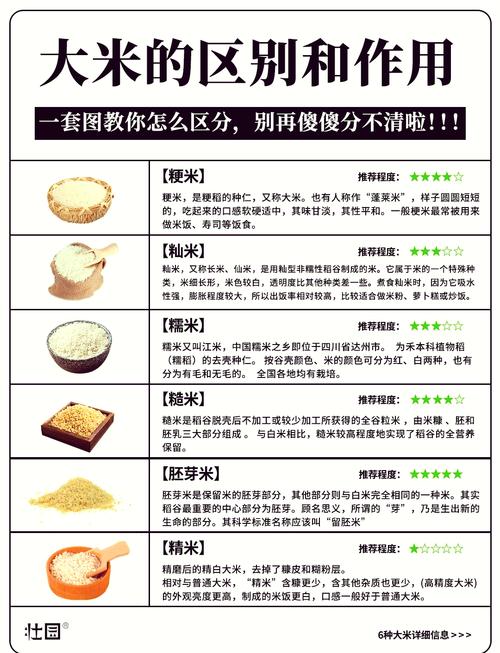 米饭和减肥之间有什么秘密联系？