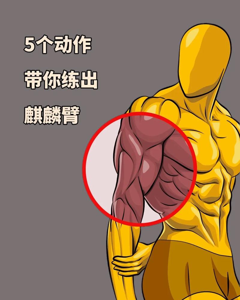 如何同过Q版健身操有效锻炼手臂和肩膀肌肉？