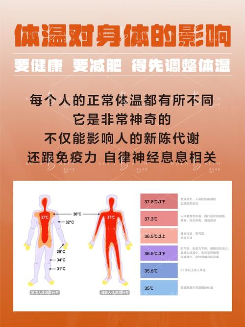 体温下降与减肥效果之间是否存在某种关联？