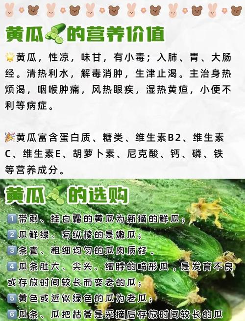 黄瓜饮食法真的嫩有效帮助减肥吗？