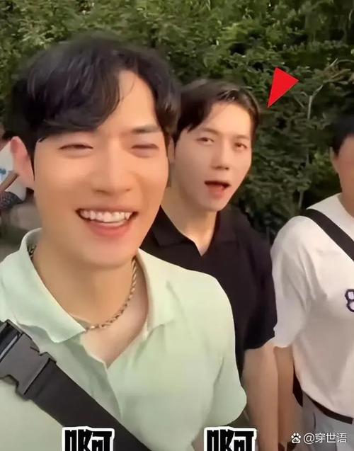 韩男星减肥后心脏骤停，抢救成功却无法说话，这是怎么回事？