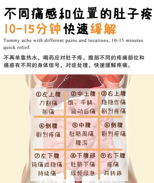 为什么拯救减肚子困难户要了解这7个原因？