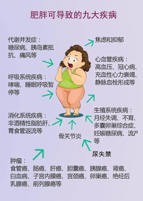 肥胖与哪些慢性疾病之间可能存在关联性呢？