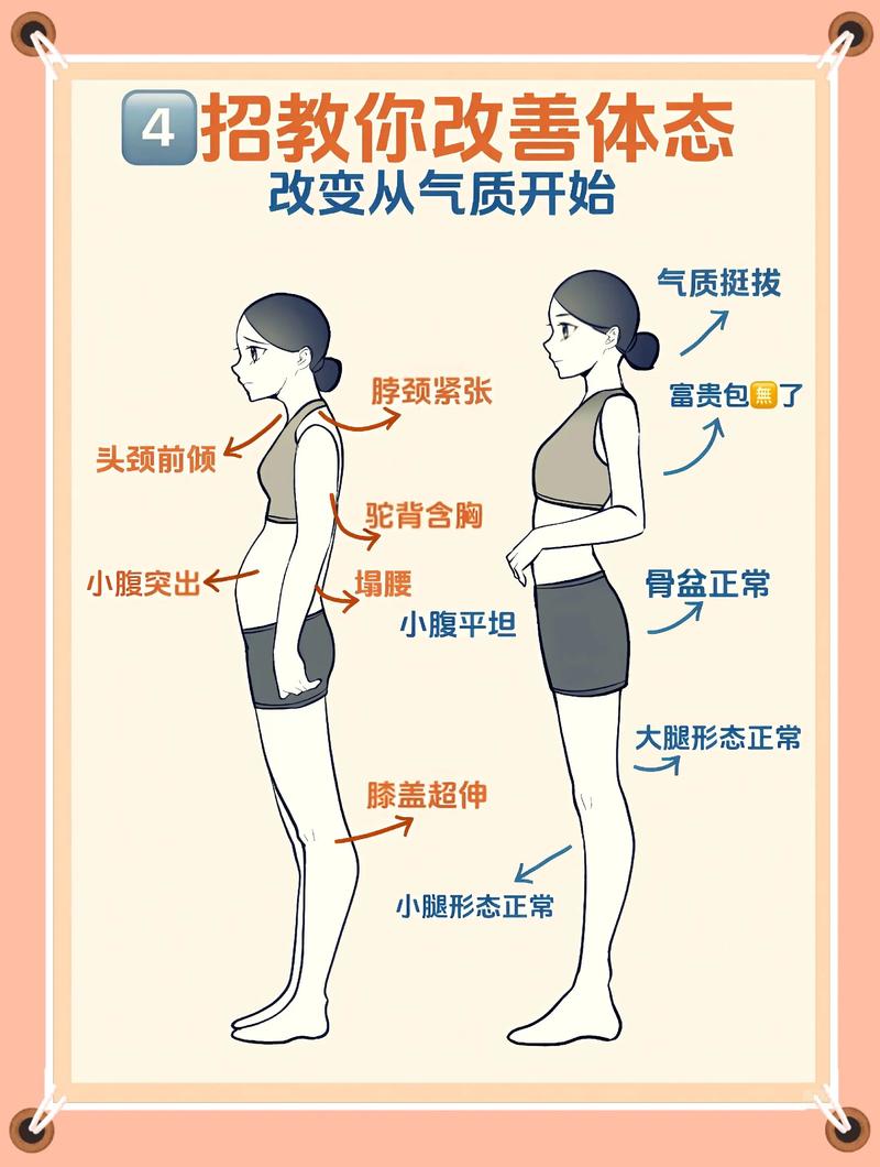 人体美的哪两大规律构成了其独特魅力？