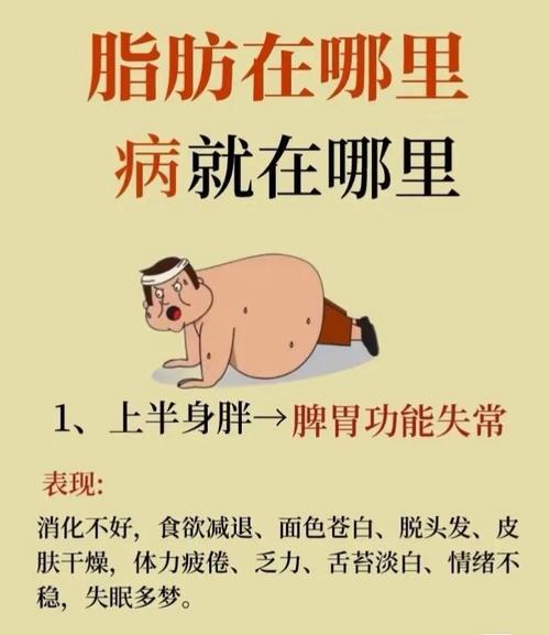 身体拉响9大信号，是不是脂肪逆袭的征兆？