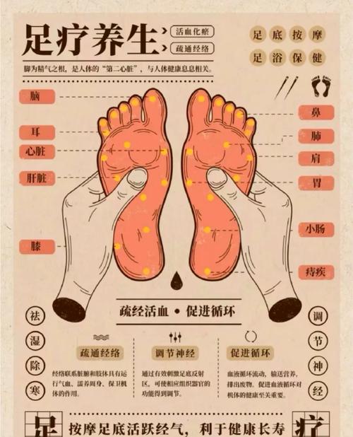 2分钟脚底按摩真的能减肥吗？