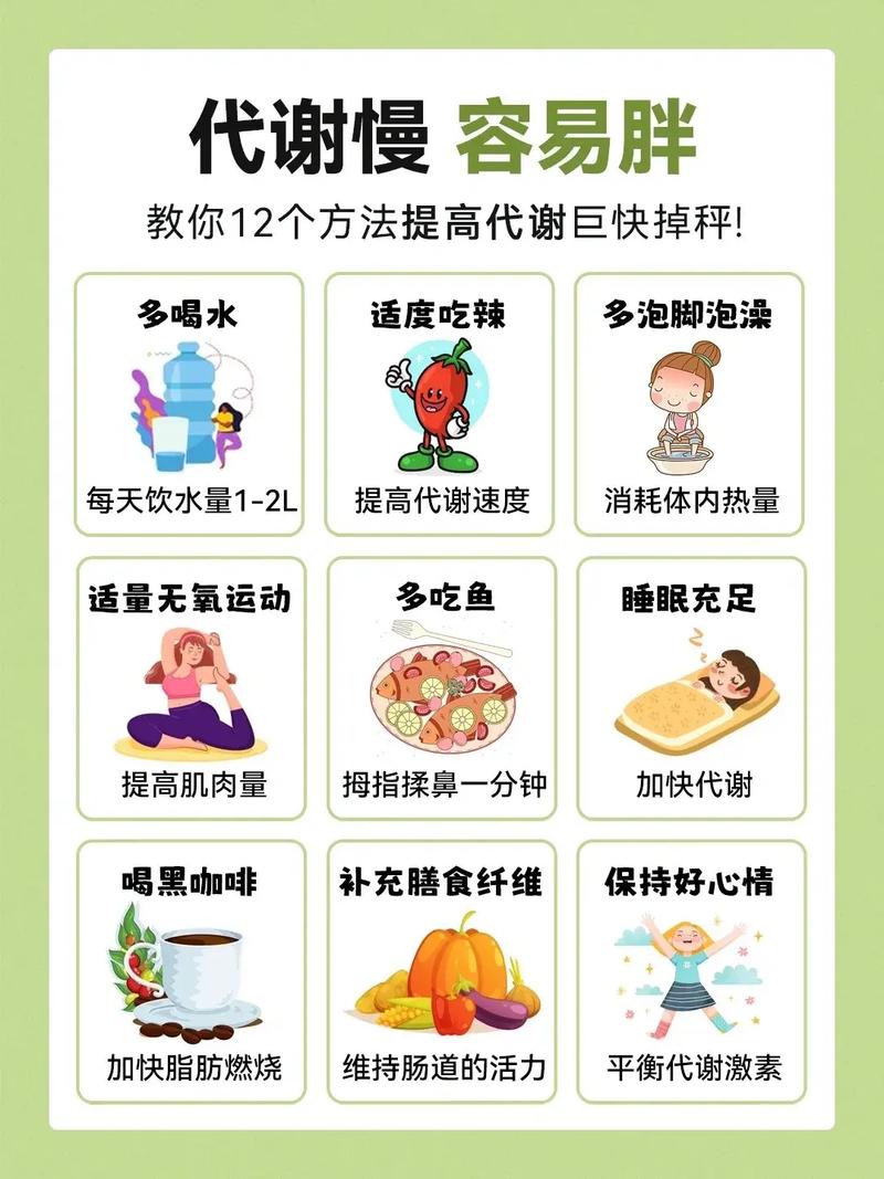 如何同过新陈代谢瘦身法实现健康减肥？