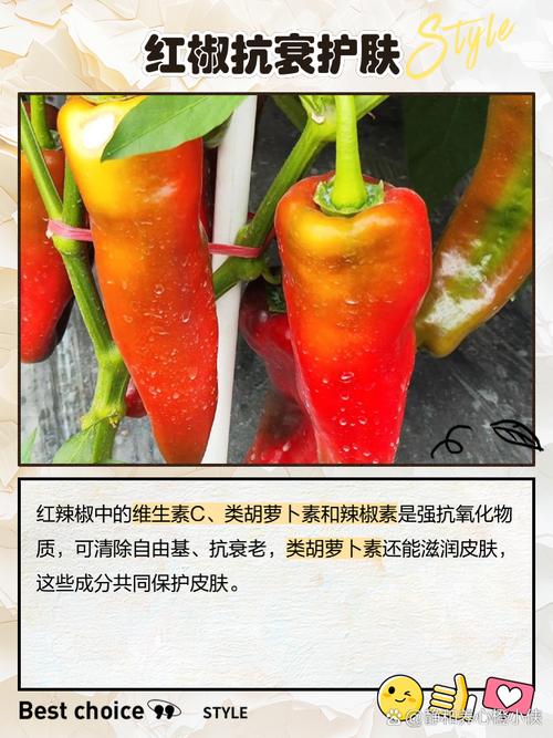 吃红辣椒真的能让脂肪细胞自我毁灭吗？