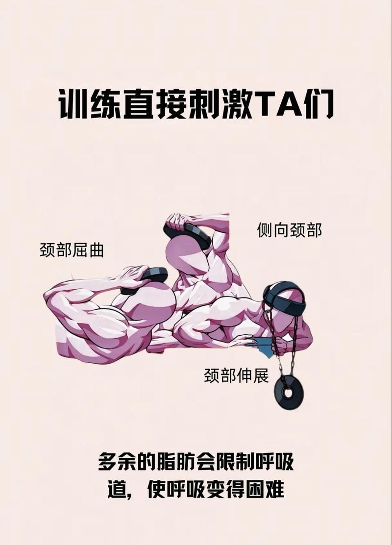 如何同过颈部的健美运动来提升颈部线条和力量？